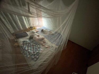 夏の蚊で寝られないときは蚊帳で完璧に対策！一回も夏に刺されずに済みました。